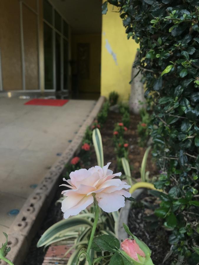 The M Bokeo Hotel Huay Xai Buitenkant foto
